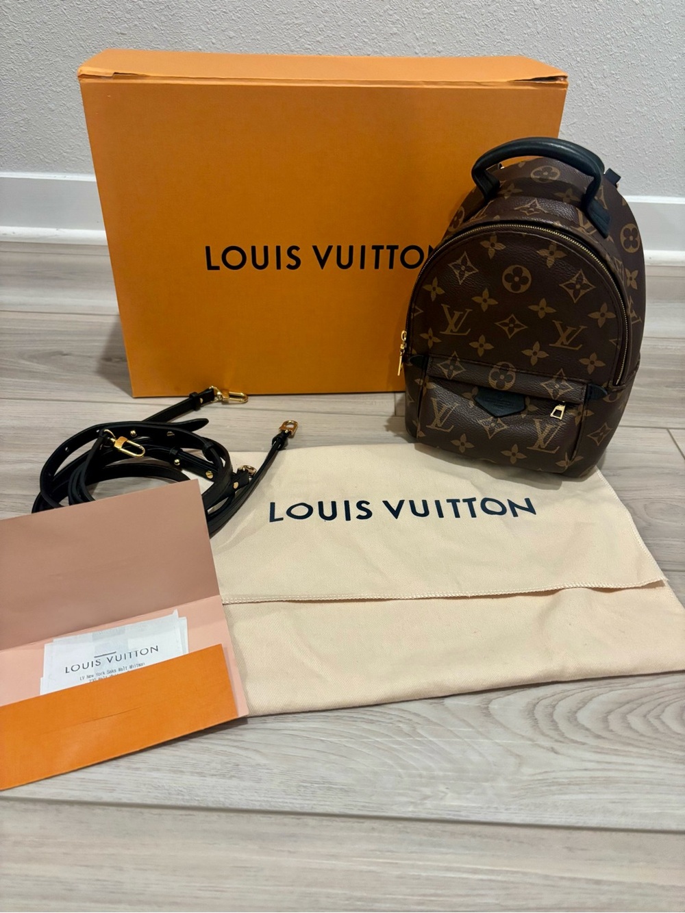 Louis Vuitton Brown Monogram Palm Springs Mini Backpack.
